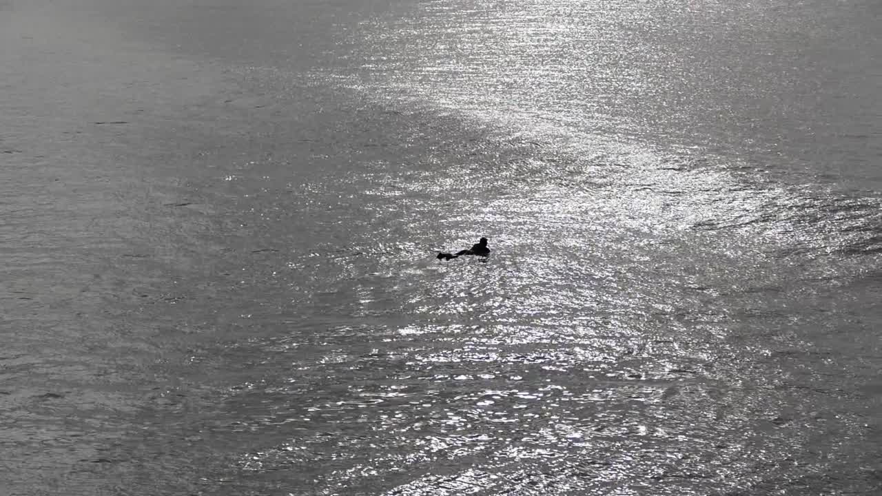 Nice silhouette of lone surfer on ocean with early morning sunlight reflection - Pegasus Bay, New Zealand
