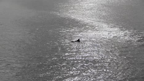 Bonita-Silueta-De-Surfista-Solitario-En-El-Océano-Con-Reflejo-De-La-Luz-Del-Sol-Temprano-En-La-Mañana---Bahía-De-Pegaso,-Nueva-Zelanda