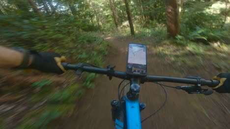 快速流動的山地單車步道在太平洋西北的森林中騎行