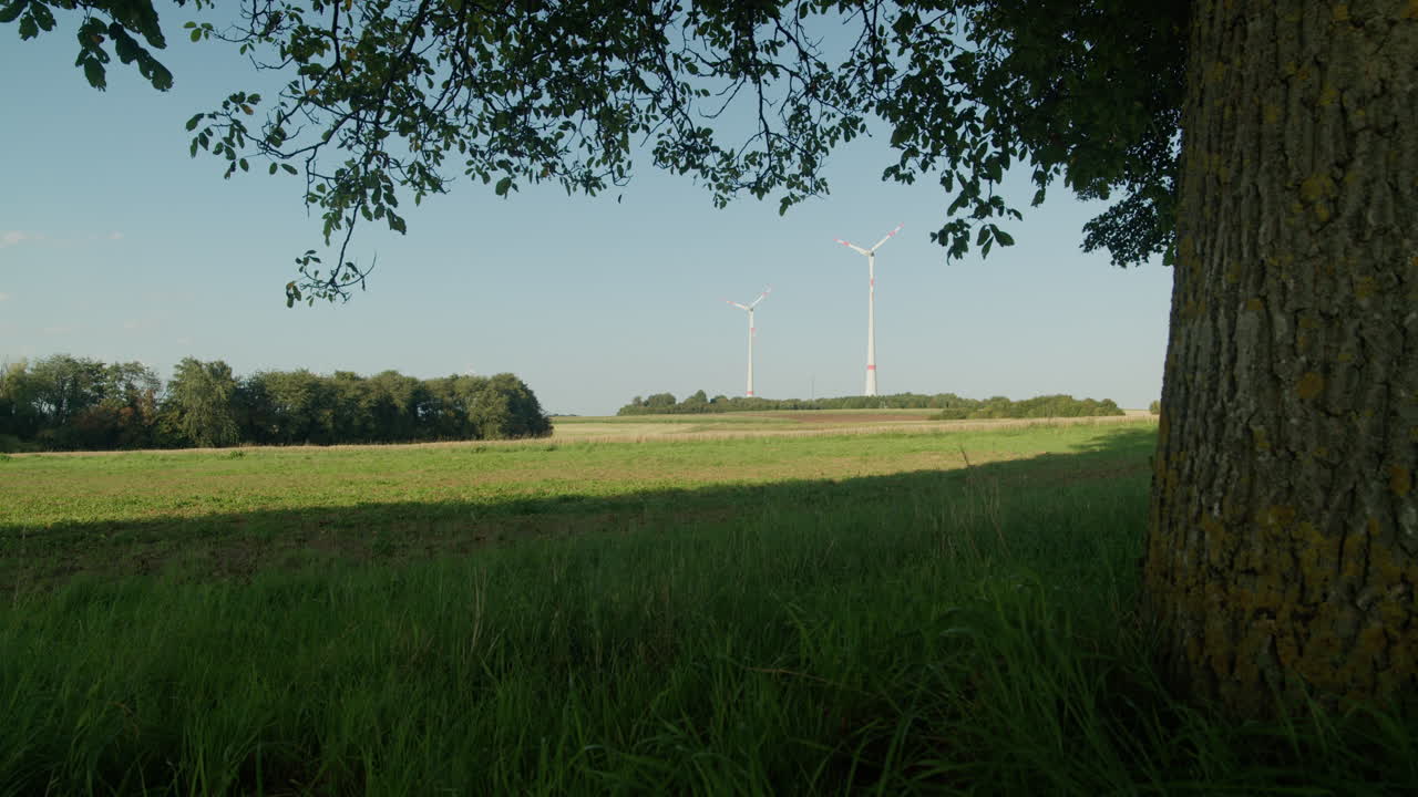 Two tall wind turbines stand in the distance beyond a lush green field, framed by a large tree trunk and branches under a clear blue summer sky