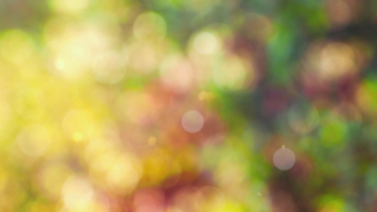 Bokeh와 추상가 배경