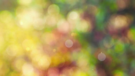 fondo de otoño abstracto con bokeh