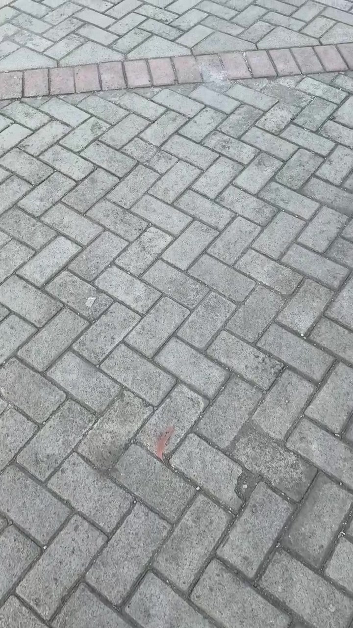 Walking on a Grey Herringbone Pattern Paved Path