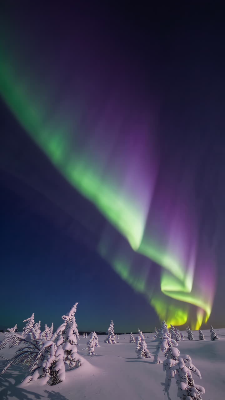 Northern Lights over a Snowy Landscape