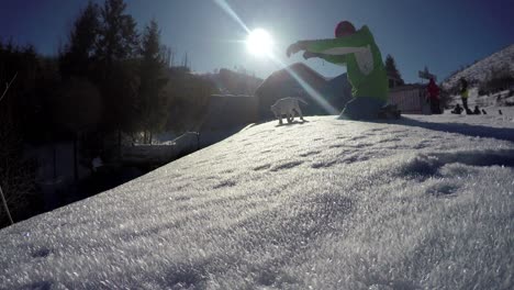 4k footage of a man playing with his bull terrier in winter