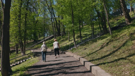 elderly couple walking in a park