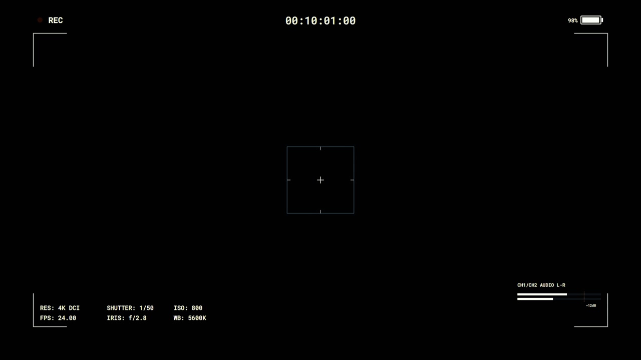 Digital Camera Viewfinder Interface Recording Overlay