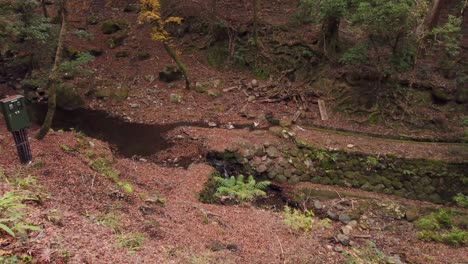 Fall-leaves-cover-ground-of-Gully-in-Japan-Hiking-Trail,-Pan-Shot-with-No-People-and-Copy-Space