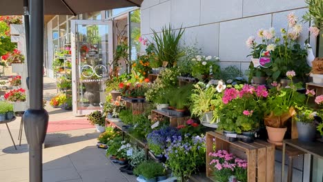 4k-60fps-Ansicht-Des-Blumenladen-Straßenladenmarktes-In-Schweden-–-Handaufnahme-Stabilisiert