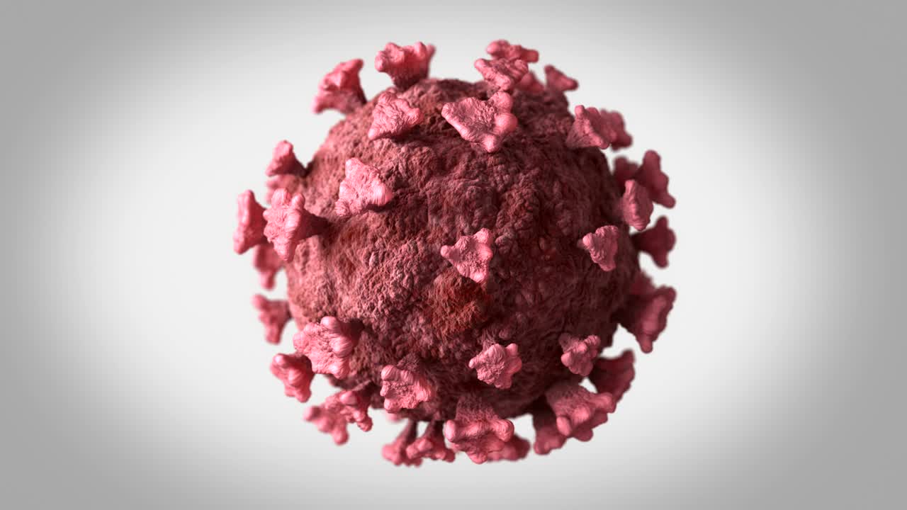 coronavirus covid-19 girando lentamente en un fondo gris