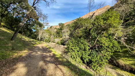 caminando por un parque a lo largo de un sendero rodeado de árboles en un valle con un arroyo cerca