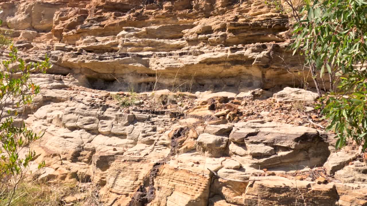 식물과 침식이 있는 바위 절벽