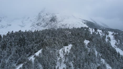 high-altitude trees aerial view landscape annapurna region nepal manang wonderland, snow, mountains, adventure 4k