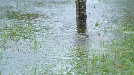 Video-En-Movimiento-De-Derecha-A-Izquierda-De-Gotas-De-Lluvia-Que-Caen-Sobre-La-Superficie-De-Un-Lago-Durante-Una-Tormenta-Tropical-En-Ecuador,-América-Del-Sur