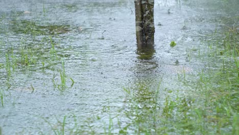 right to left motion video of ran drops falling on the surface of a lake during a tropical storm in ecuador, south america