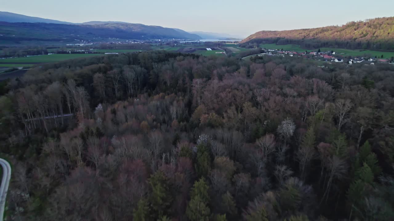 Unkept flora nearing to Thielle Castle Switzerland aerial