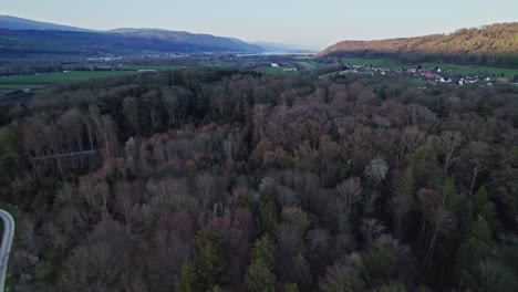 unkept flora nearing to thielle castle switzerland aerial