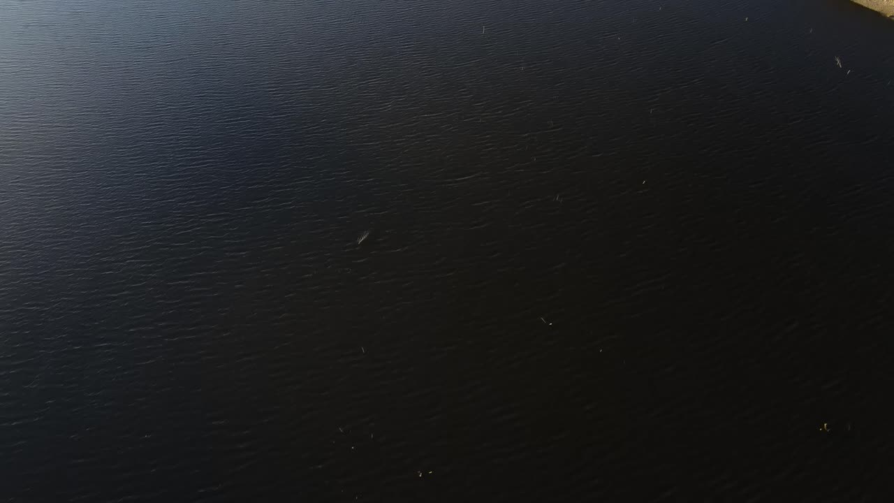 베일 호수 테메큘라의 오버헤드 뷰