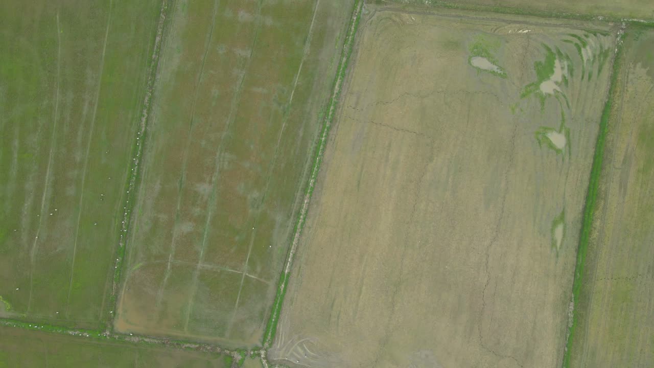 들 은 공중 도리  으로 위 에서 아래 로 볼 수 있다