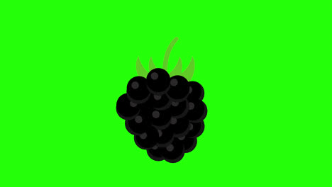 Animación-Conceptual-De-Uvas-Negras-Con-Hojas-Verdes-Con-Canal-Alfa