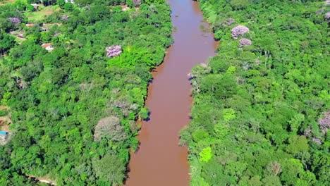 un río que fluye a través de los humedales del pantanal en brasil