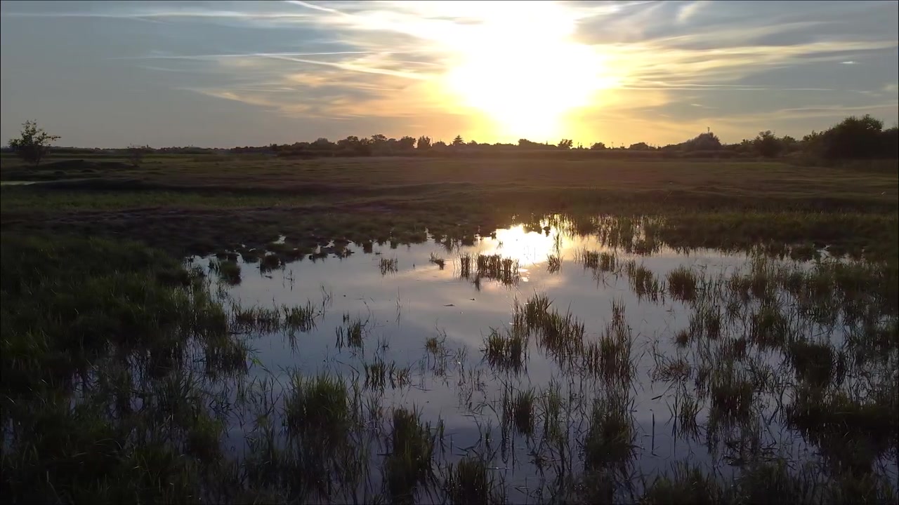 Drone che vola su una brughiera al tramonto