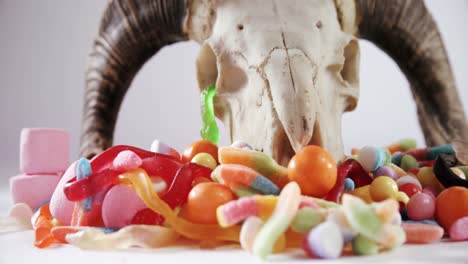 animal skull and various candies against white background 4k