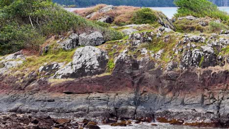 drone camera smoothly pans across a rugged, rocky headland with green vegetation, revealing coastal cliffs and calm blue ocean under natural daylight
