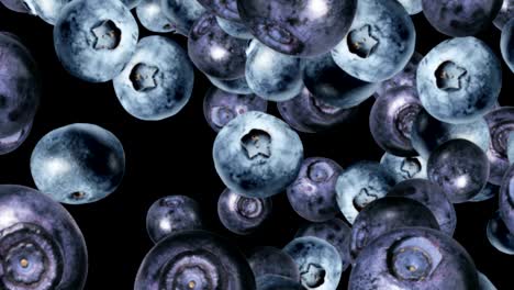 falling blueberries background, loop,  60fps, with alpha channel