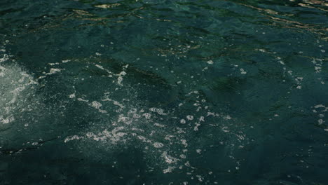 woman swimming front crawl