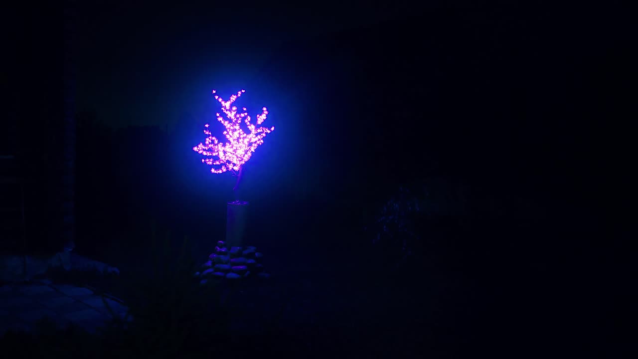 árbol decorativo con iluminación fluorescente por la noche