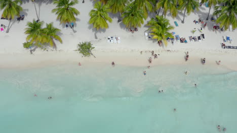 Gente-En-La-Playa-Tropical-De-Palmeras-De-Arena-Blanca-En-Isla-Saona,-Tiro-Cenital