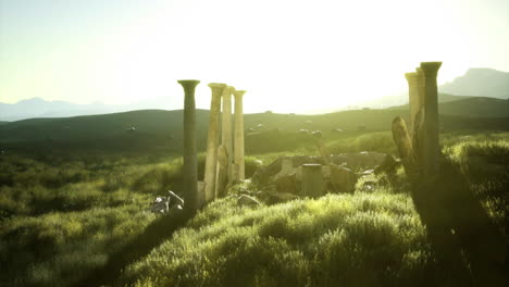 ancient ruins stand in the sunlit field surrounded by green landscape