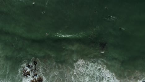 Aerial-Sandy-Tropical-Beach-and-Sea-Green-Sea-Waves-Aerial-View