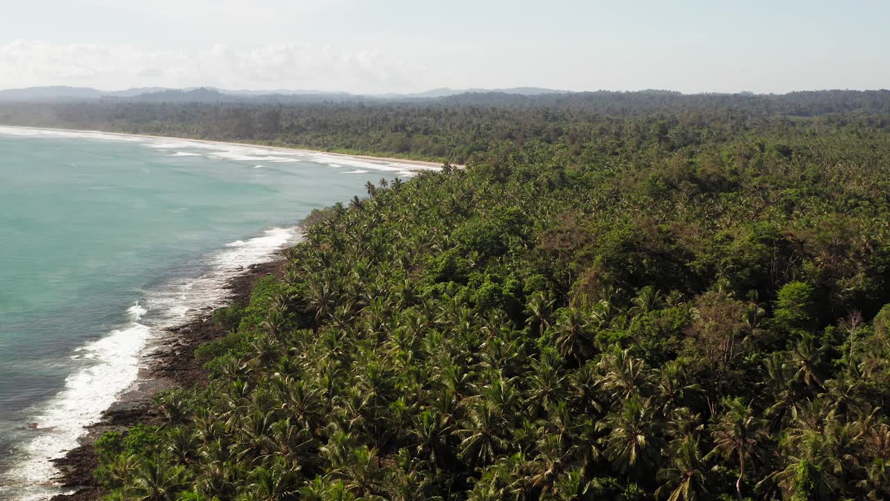 Aerial flight above palm jungle and turquoise water bay in Indonesia