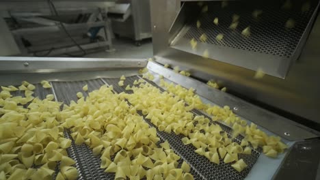 production factory line moves potato snackes. production line of the pasta factory, pasta production