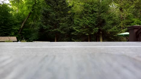 lush forest shown from wood deck lookout