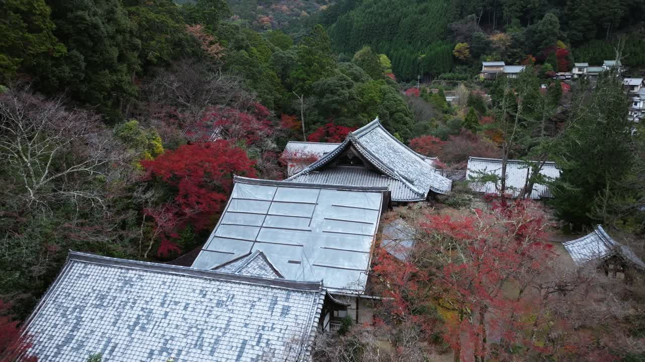 Autumnal tree colors of Takao Japanese Countryside Landscape Aerial Drone temple fly above Kozanji and Jingoji temples