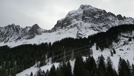 Fronalpstock-Schweiz-Glarus-Schweizer-Alpen-Flug-In-Richtung-Gipfel-über-Bäume