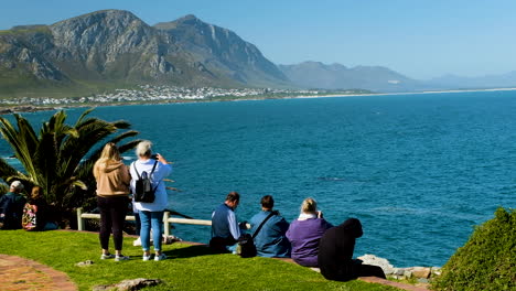 turistas observando ballenas desde un mirador escénico en