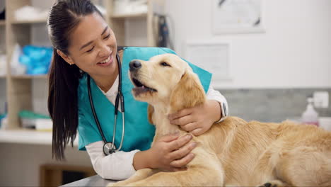 Woman,-vet-and-happy-puppy-on-table