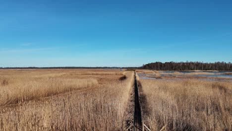 Wooden-Bords-Trail-Through-the-Kaniera-Lake-Reeds-Aerial-Spring-Shot-Lapmezciems,-Latvia