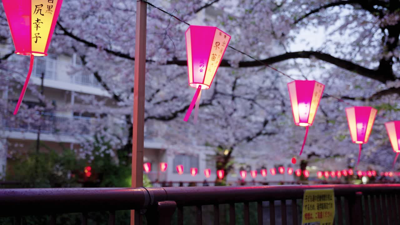 linternas para sakura matsuri a lo largo del río meguro en tokio