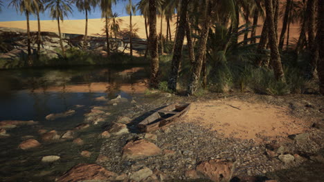 a deserted oasis with palm trees and a small boat