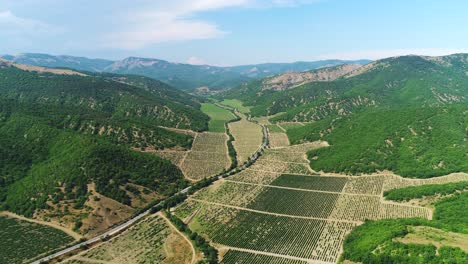 aerial view of vineyard valley in the mountains