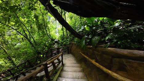 Stairs-through-the-jungle-of-Costa-Rica