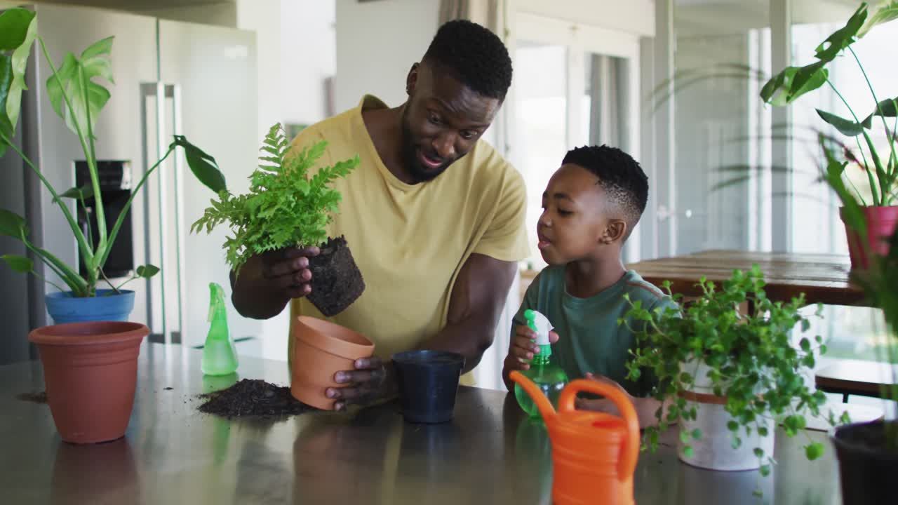 African american father and son transplanting plant a into a new pot together at home