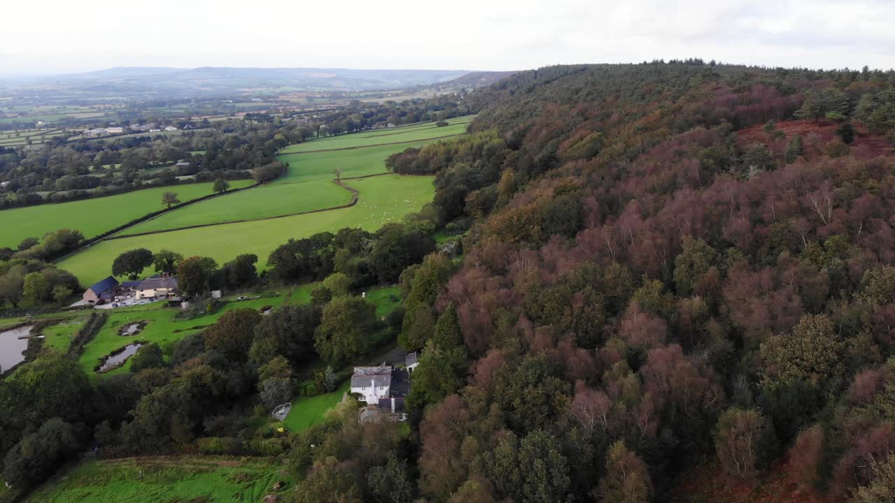 vista aérea sobre el bosque arbolado junto a campos verdes en east hill devon