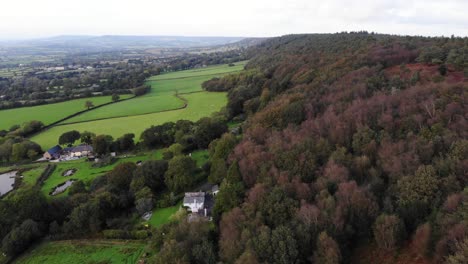 vista aérea sobre el bosque arbolado junto a campos verdes en east hill devon