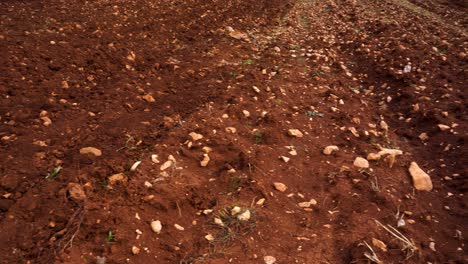 Rot-Bebautes-Feld-Des-Landwirtschaftlichen-Bauernhofs-Mit-Erde-Und-Steinen,-Die-Im-Herbst-Zur-Aussaat-Bereit-Sind